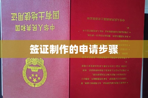 云霄签证制作的申请步骤