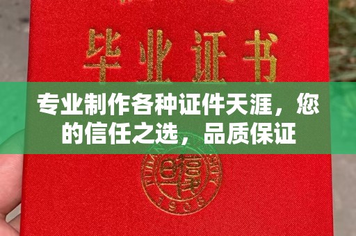 云霄专业制作各种证件天涯，您的信任之选，品质保证