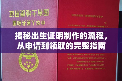 云霄揭秘出生证明制作的流程，从申请到领取的完整指南