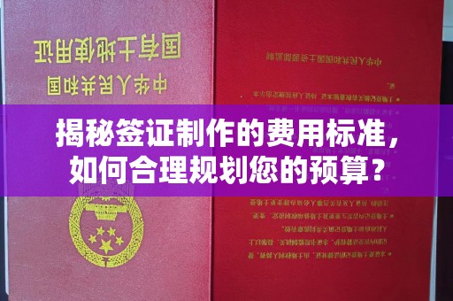云霄揭秘签证制作的费用标准，如何合理规划您的预算？