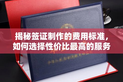 云霄揭秘签证制作的费用标准，如何选择性价比最高的服务？