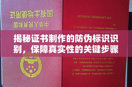 云霄揭秘证书制作的防伪标识识别，保障真实性的关键步骤